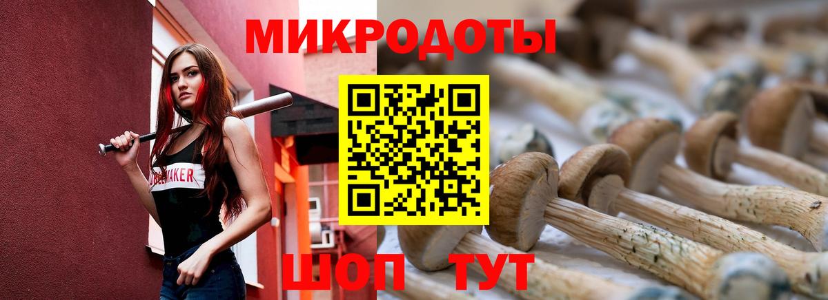 Галлюциногенные грибы Magic Shrooms  Вход с VPN  Кисловодск 